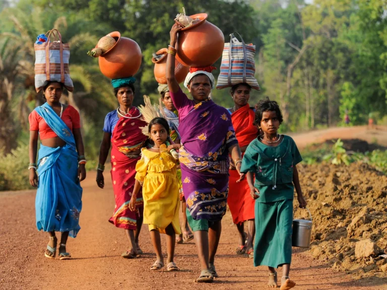 Corporate Land Grabs and Indigenous Rights: An Indian Perspective